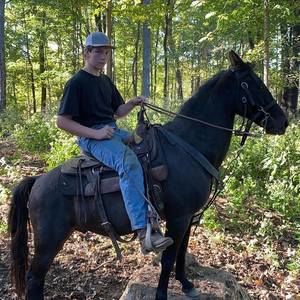 Meet your Posher, Willard